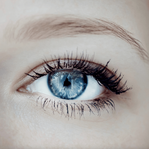 Lashes 